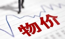 沈建光：摆脱物价持续低位运行的四大建议